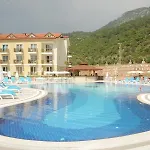Marcan 3*